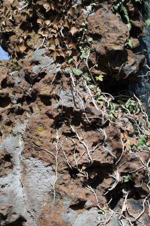 stone moss texture