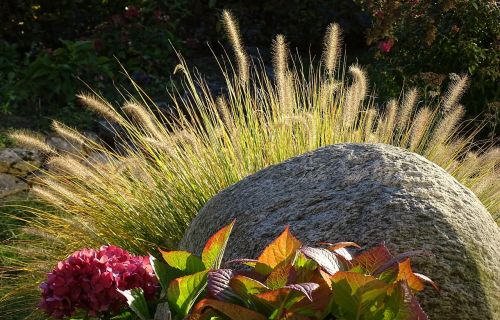 stone back light autumn