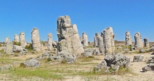 stone forest stone forest