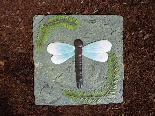 stone tile dragonfly