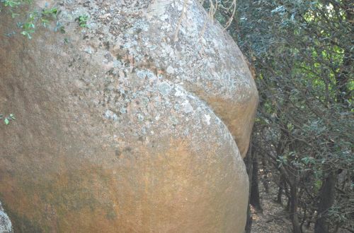 stone butt ass