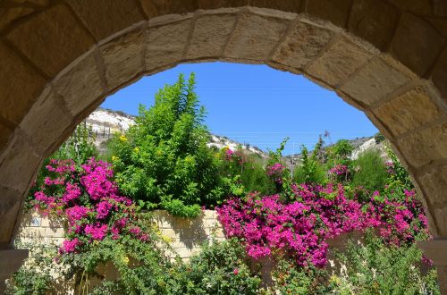 stone wall flowers