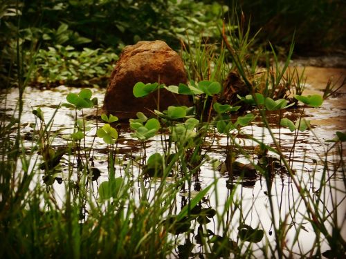 stone water rain