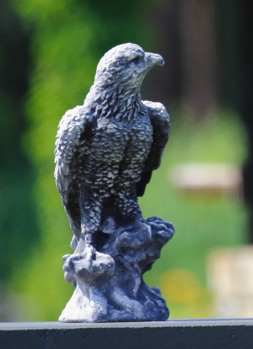 stone adler falcon