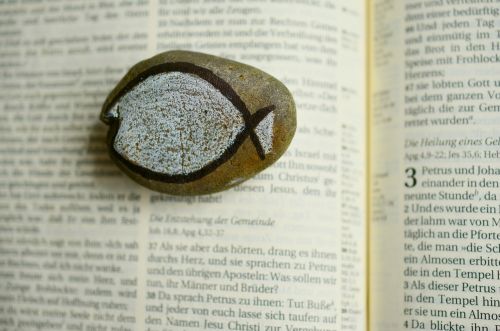 stone symbol fish symbol