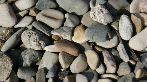 stone garden meditation