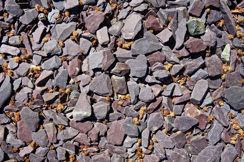 stone  pebble  rock