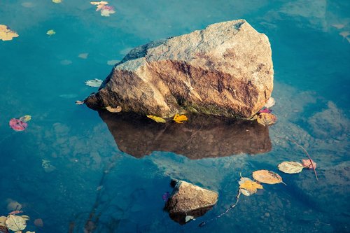 stone  water  leaf