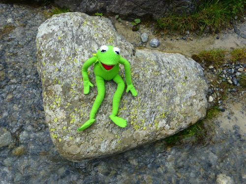 stone heart kermit