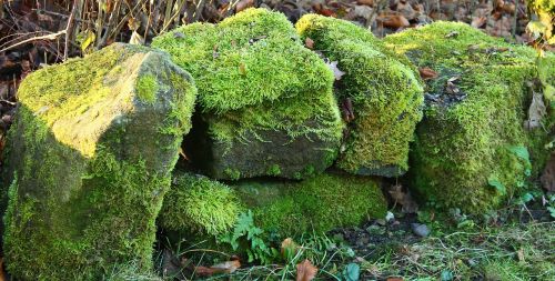 stone wall green