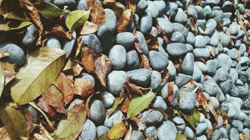 stone texture the scenery