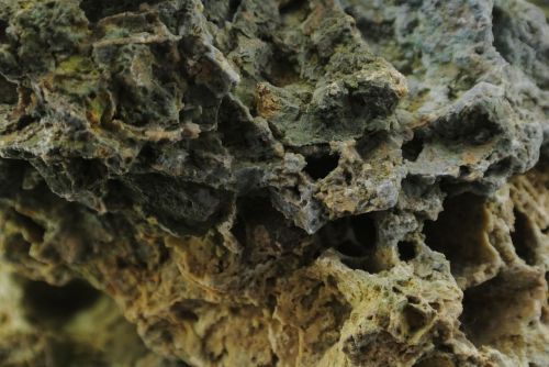 stone porous volcanic rock