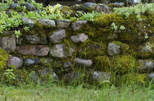 stone moss garden