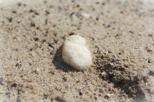 stone sand beach