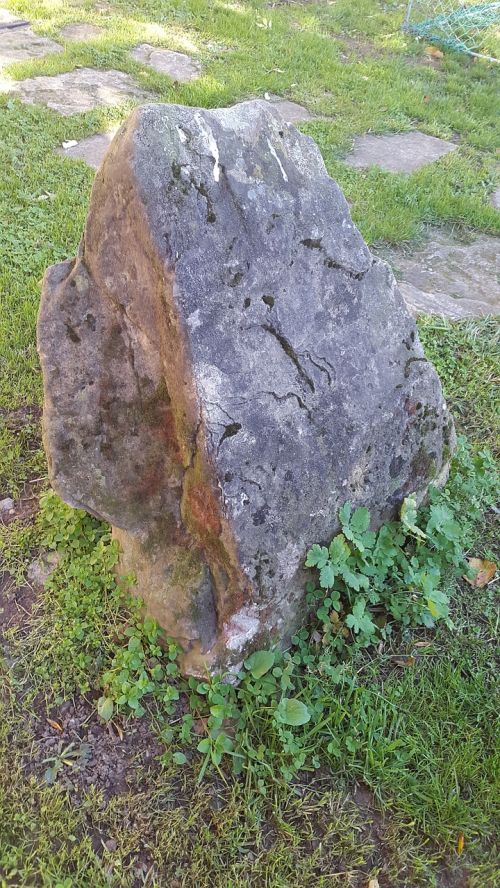 stone moss limescale