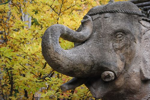 stone figure elephant autumn