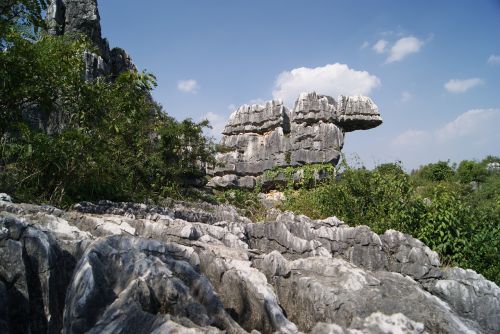 stone forest rock shilin