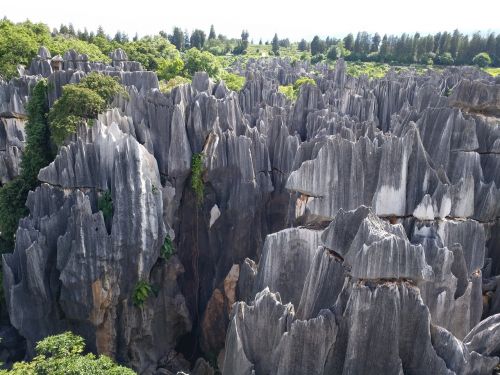 stone forest in yunnan province the scenery