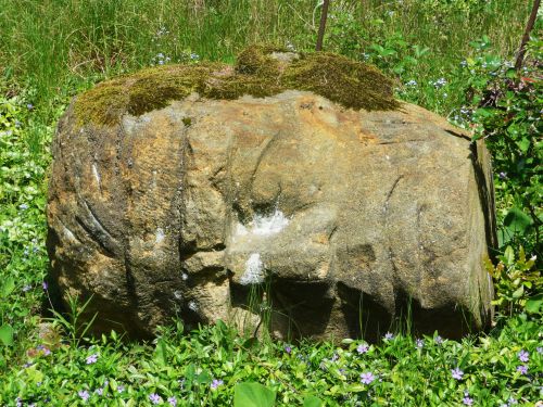 Stone Head