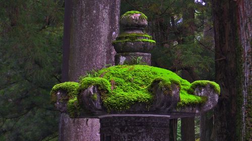 stone lantern moss japan