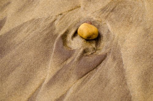 Stone On The Beach