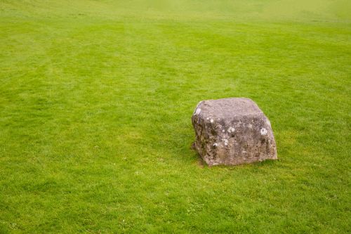 Stone On The Grass