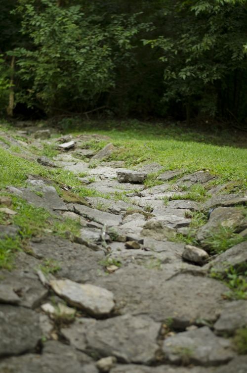 stone path nature stone