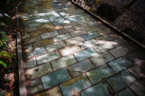 stone road the mottled light and shadow