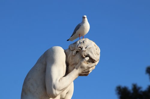 stone statue  sculpture  seagull