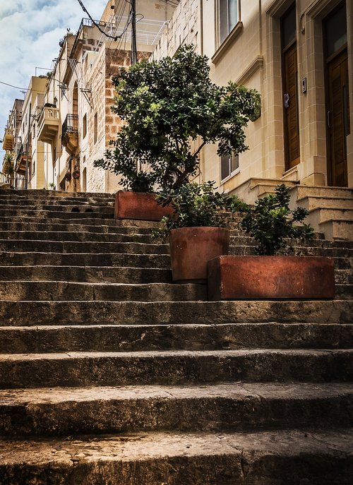 stone steps  street view  olive trees