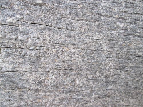 Stone Texture 5