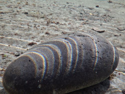 Stone Under Water