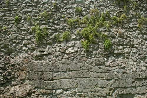 stone wall wall garden