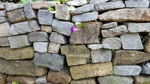 stone wall flowers pattern