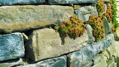 stone wall fouling wall
