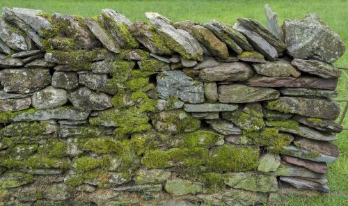 stone wall moss texture