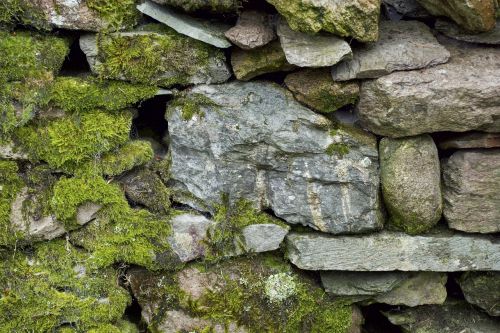 stone wall moss texture