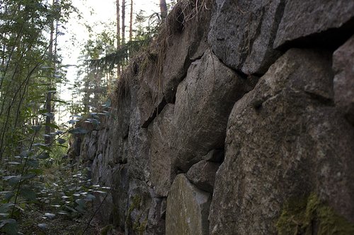 stone wall  forest  nature