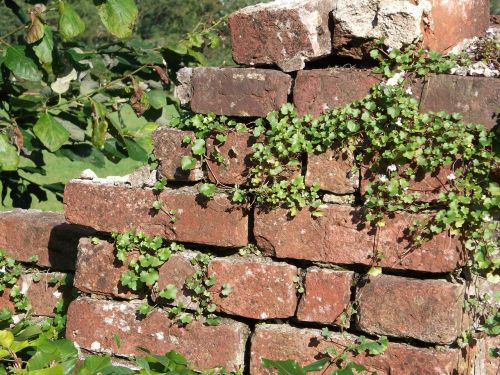 stone wall weathered bricks