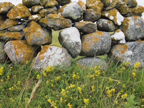 stone wall gotland summer