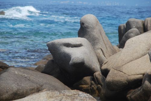 stones sea water