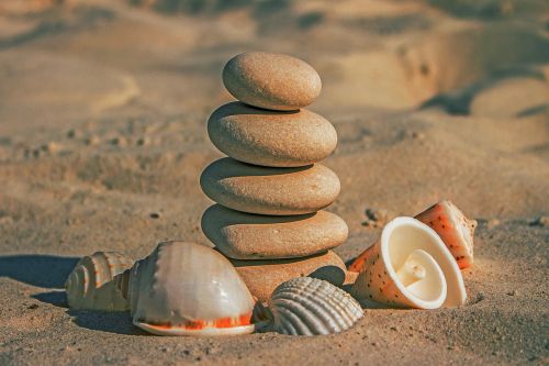 stones beach sand sea shells