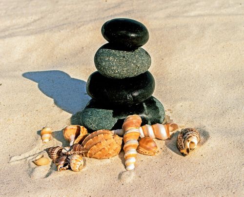 stones sea shells beach