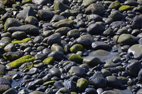stones moss water