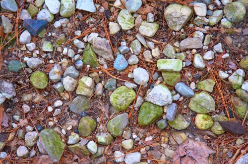 stones ground rocks