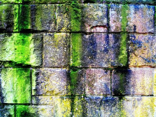 stones wall moss