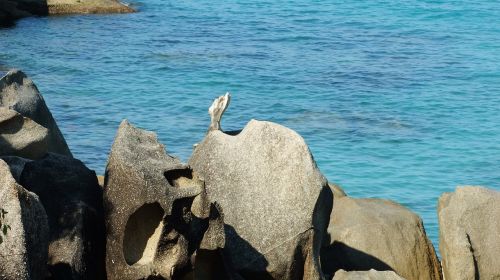 stones rocks ocean