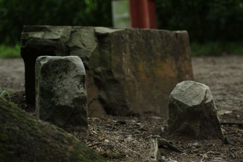 stones forest nature