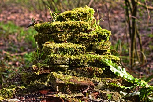 stones  moss grown  old stones