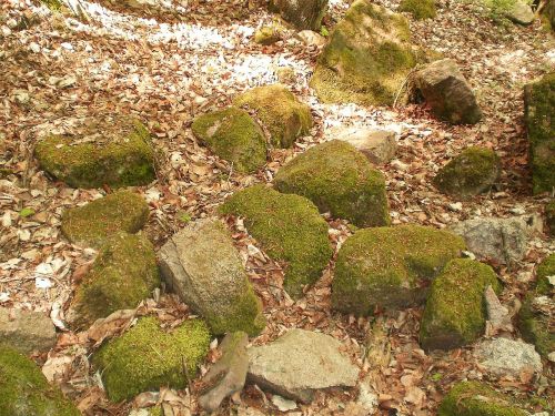 stones nature moss